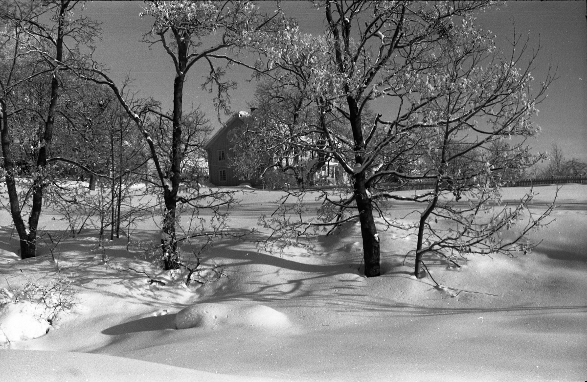 Hoff Prestegård i Østre Toten. Vintermotiv februar 1948. Tre bilder.