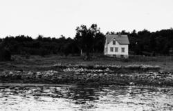 Eldre hus ved sjøen, Myklenes i Tranøy. Bildet er tatt i 196