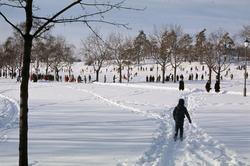 Vinter i Frognerparken.