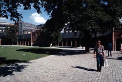 Domkirkeparken med basarene.