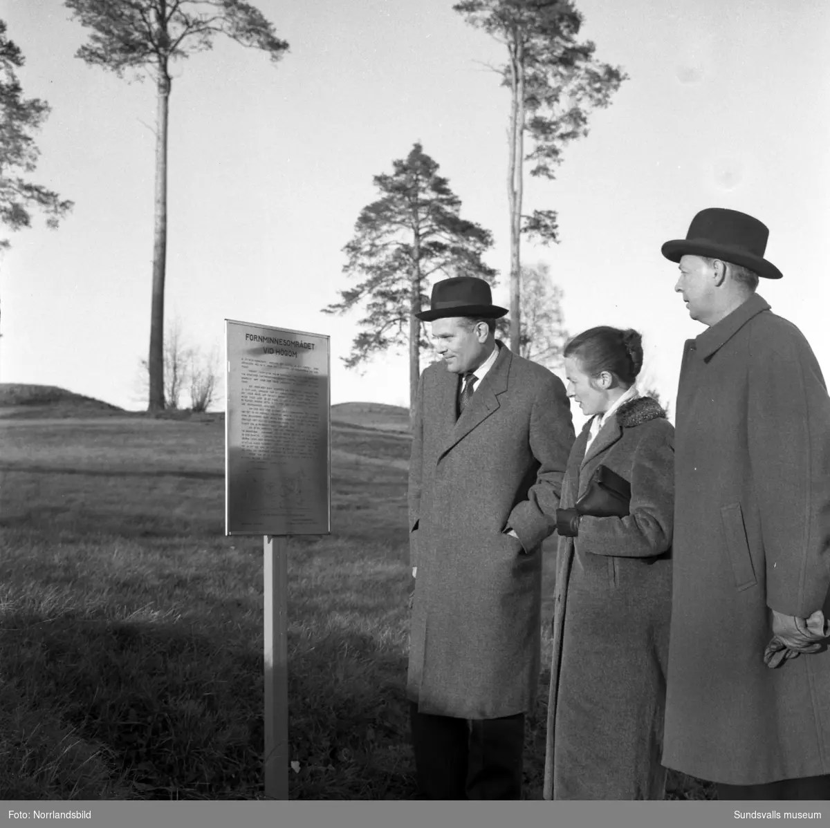 Rudolf Müller-Horn, kulturattaché vid tyska ambassaden i Stockholm, besöker Sundsvall och bland annat gravfältet i Högom tilldrar sig hans intresse. På första bilden ses han till vänster med bland annat Brita och Gösta Lindqvist samt längst till höger Ingemar Tunander, intendent vid Sundsvalls museum.