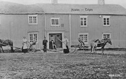 Personer på gårdsbruk