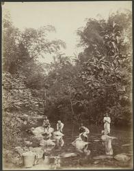 Martinique [Fotografi]