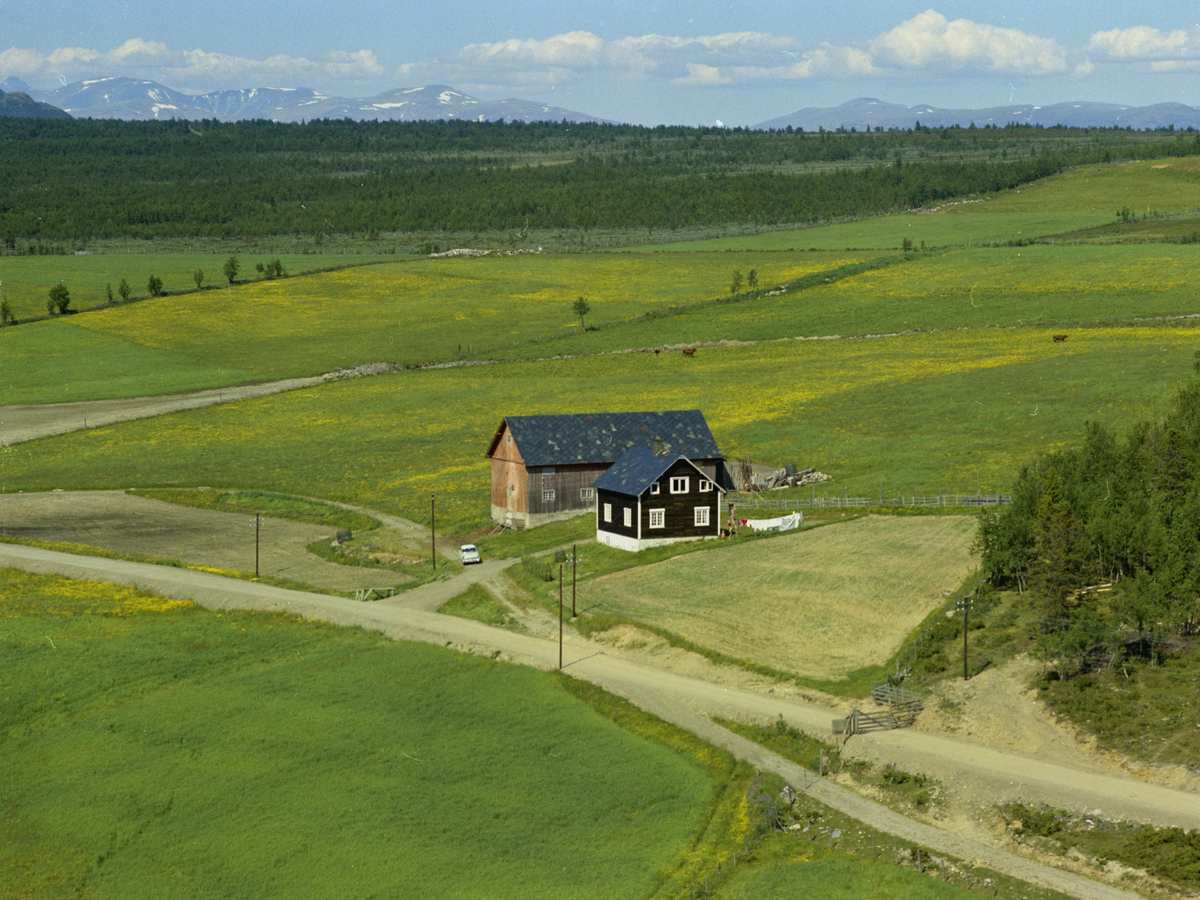 Sør-Fron, Hundorp, Myrvang gårdsbruk. Åpent landskap med fjell i bakgrunnen. Mørk brunt våningshus