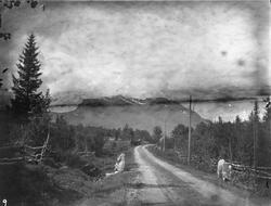 Grindafjeld 8 1/25 f