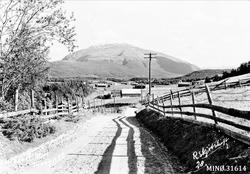 Utsikt mot Tronfjell