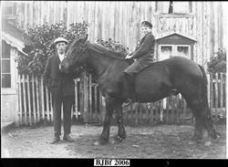 Johan og Harald Sunde med hesten "Brunes," Bjugn