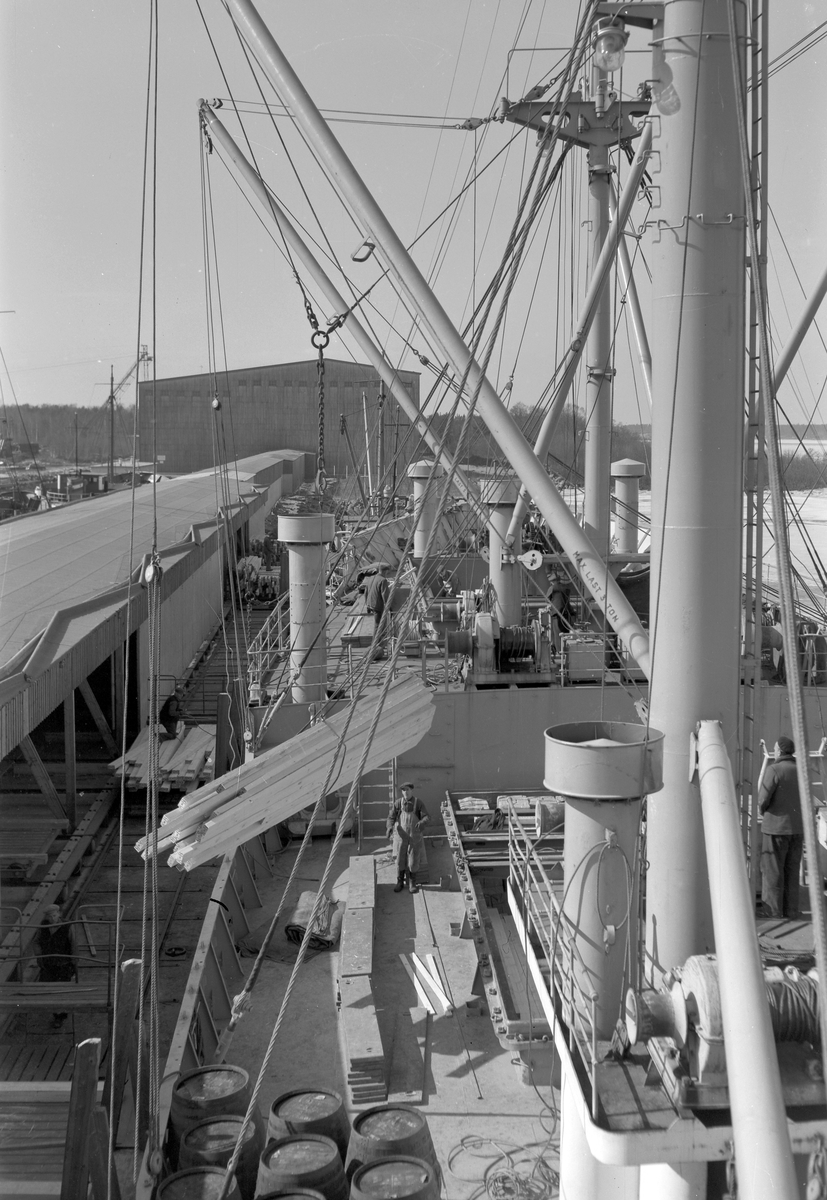 Den 27 januari 1954. Gävle Varv. Båten M/S Lombardia. Lastning.


