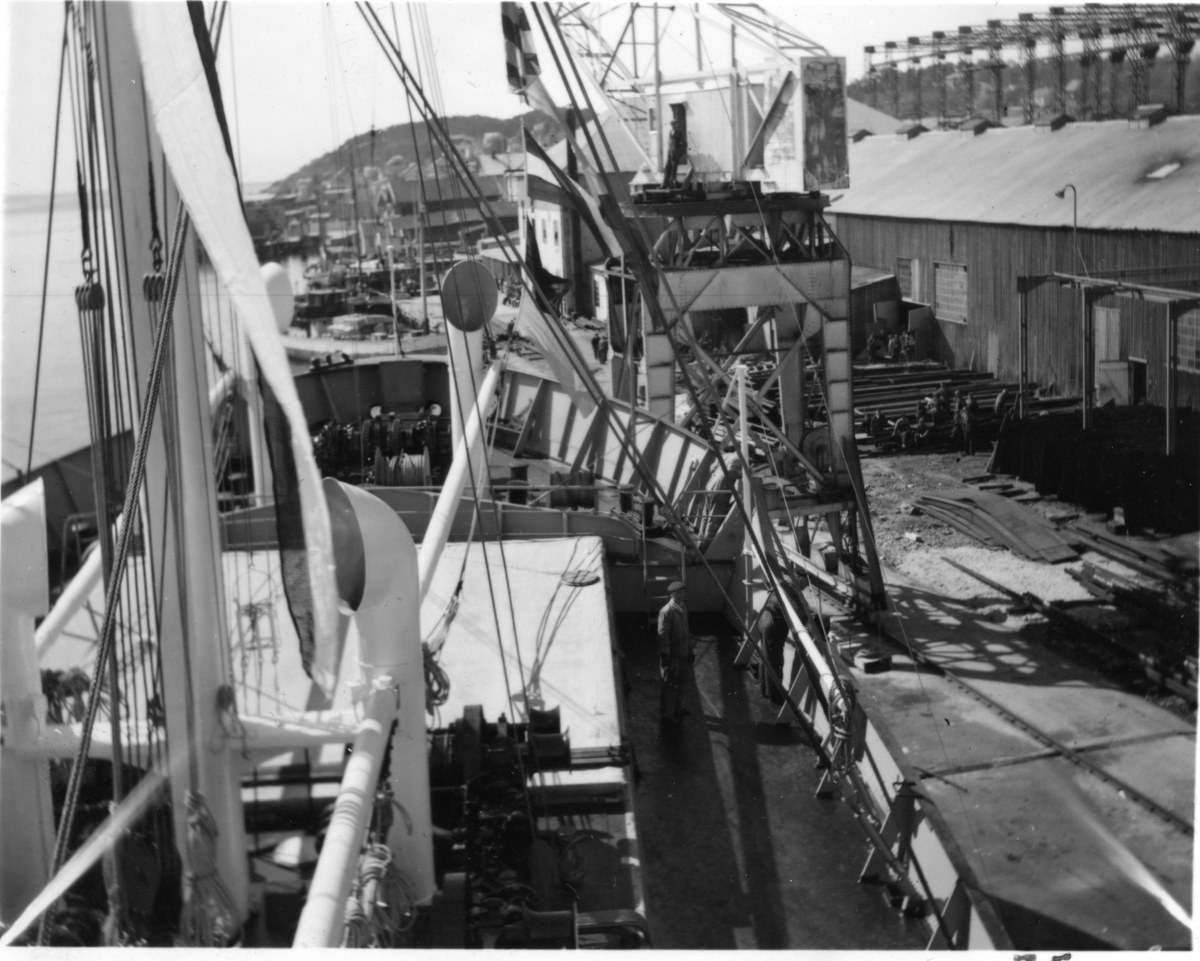 Byggenr. 31 v. Langesund Mekaniske Verksted: Kollbryn
8: "Sakte fart akterover". 
9: "Klar ved winchen".
12: "Kollbryn på slippen 17.5.1951".
13: "Kollbryn ved kaien 24.3.1951".