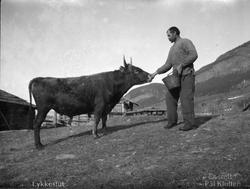 Mann med oksen Lykkestut, Antatt Hundorp