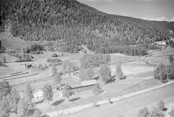 Rybakken gård, Øyer, 16.07.1959, li, kulturlandskap, jordbru