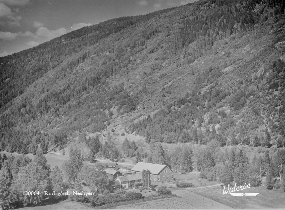 133064 Rud Gård, Nesbyen Widerøe - Maihaugen   Digitaltmuseum