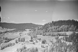 Skyberg gård, Vestsida,Tretten, Øyer, 16.07.1959, kulturland