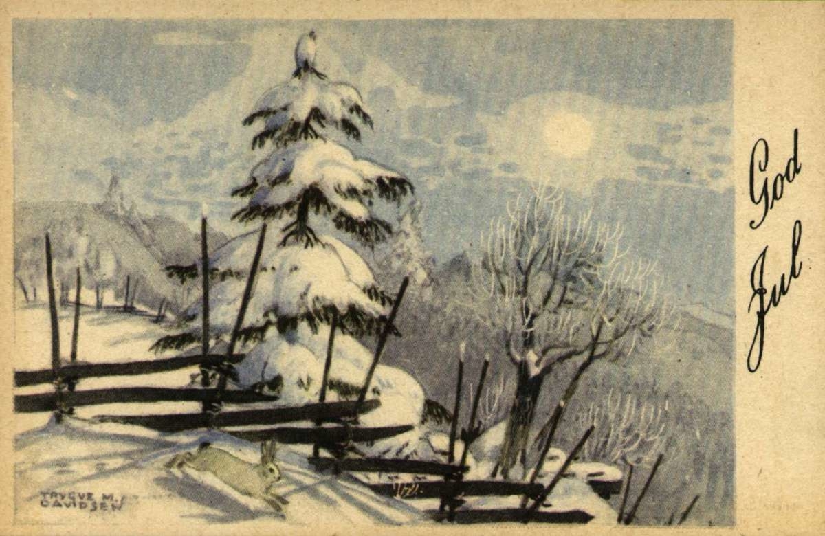 Julekort. Ubrukt. Vintermotiv. Ei snøtung gran, en skigard og en hare i forgrunnen. I bakgrunnen solskinn over skog dekt av snø. Illustrert av Trygve M. Davidsen.