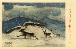 Julekort. Ubrukt. Reinsdyr på vidda i snøvær. "Hemsedal", il