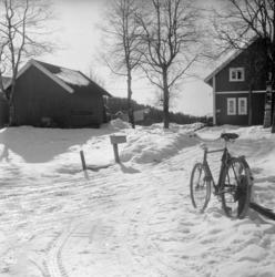Sværsvann i Maridalen. April 1955