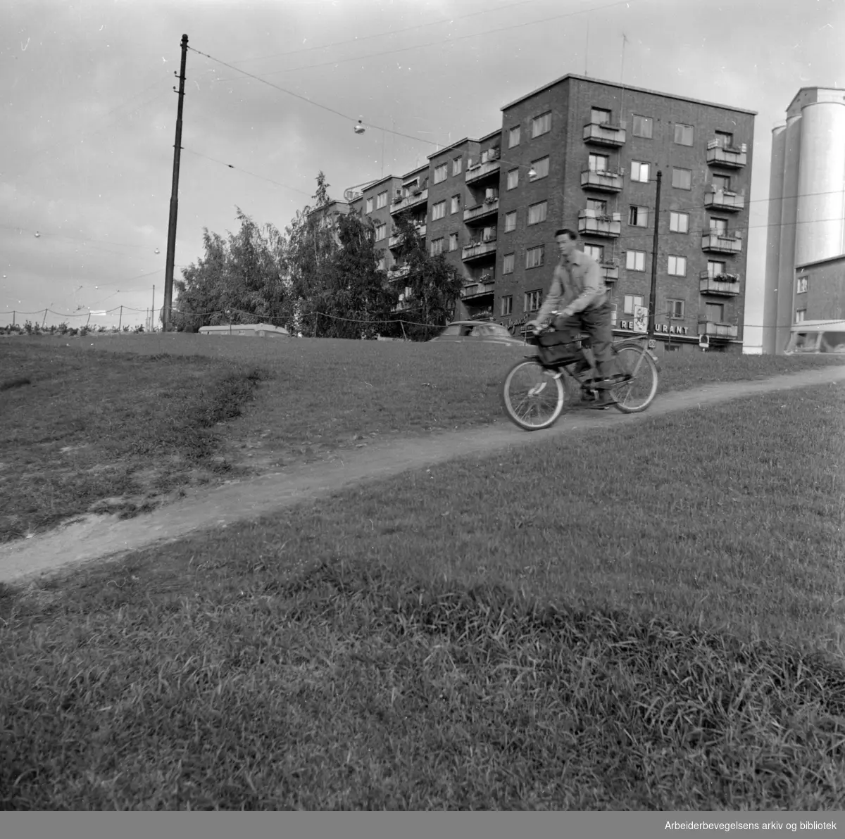 Torshovdalen park. Gangsti. September 1960