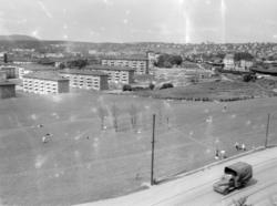 Torshovdalen park. Juni 1953