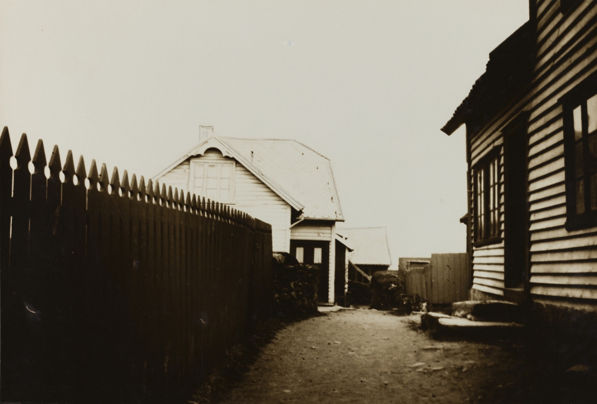 IX Hasseløen - Hasseløens vestside ca.1910