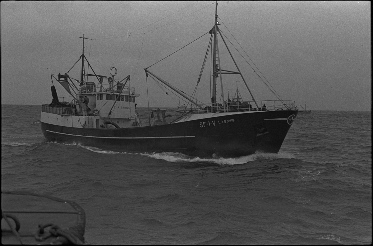 Fiskebåten "L.A. Sjong" fra Måløy ute på sjøen. Den har registreringsnummer SF-1-V.