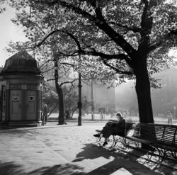 Studenterlunden. Mai 1954