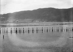 Tømmerlenser ved Orklas utløp. Utsikt mot Gjølme.