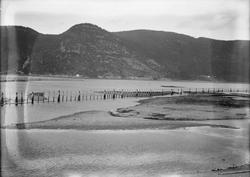 Tømmerlenser ved Orklas utløp.