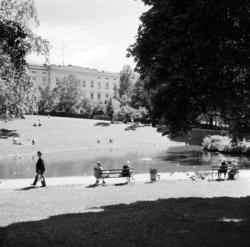 Slottsparken. Juni 1961