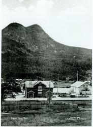 Gol Jernbanestasjon og Hesla hotel.