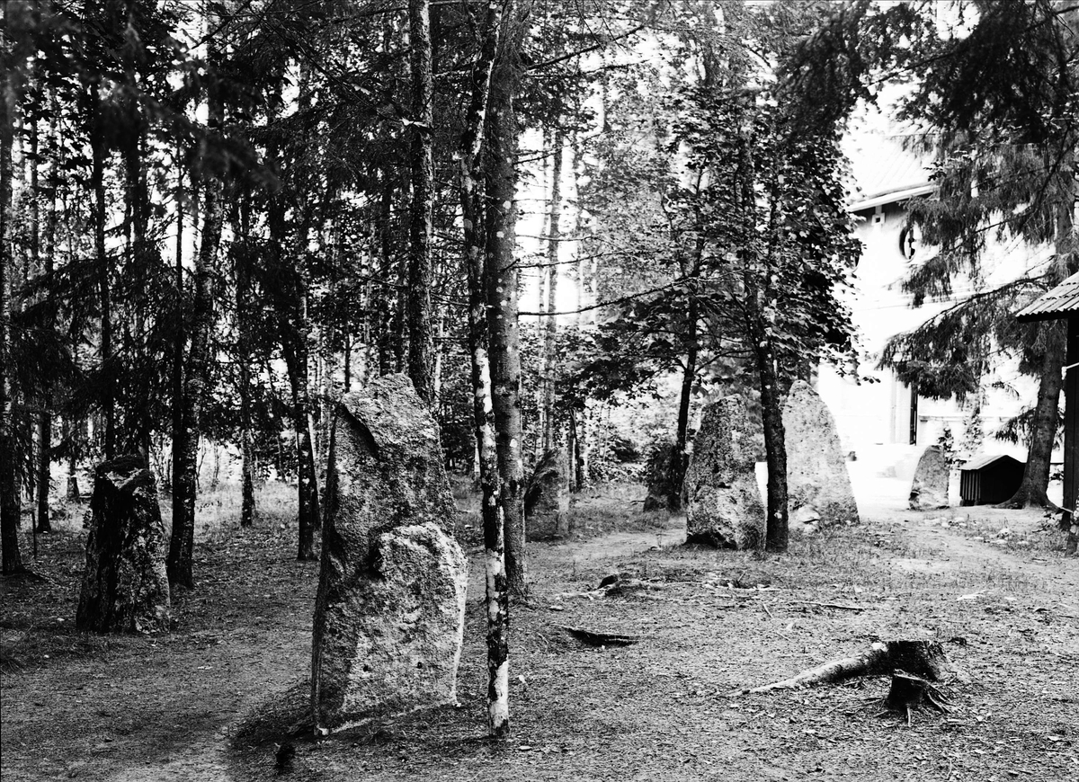 Bautastenar, Göksbo, Altuna socken, Uppland 1924