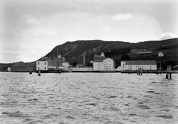 I. C. Piene & Søn i Buvika