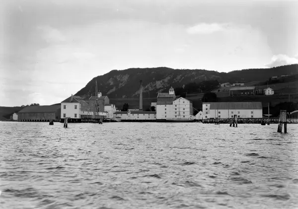 I. C. Piene & Søn i Buvika