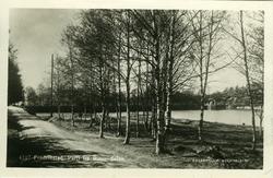 Fredrikstad,
Vestsiden,
Bjørndalen, første dam, 
Bjørndal