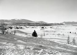 Vasetområdet, Vestre Slidre.