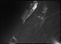 Seiletur med "Vilja". Fogn-Hjelmeland-Jelsa. Frederik. Brynj