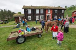 Fra "Fløttdagen" på Dølmotunet 2016, Tolga, Hedmark. Musea i