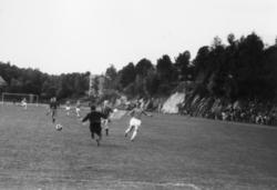 ."Molde FK, MFK, Molde fotballklubb"