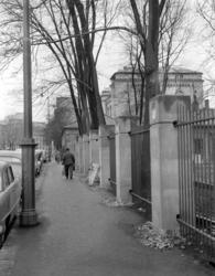 Universitetshavens nye gjerde. Mai 1956