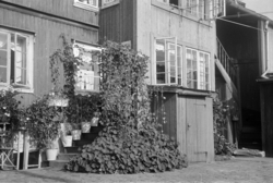 Vålerenga. September 1946