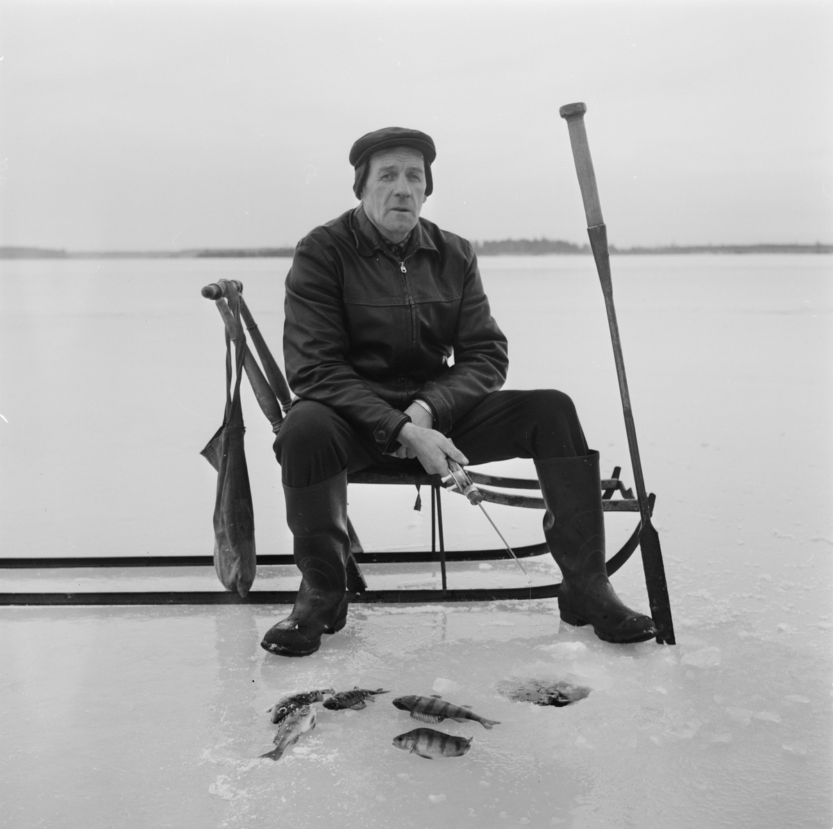 Erik Eriksson, Söderfors, Söderfors socken, Uppland, december 1966