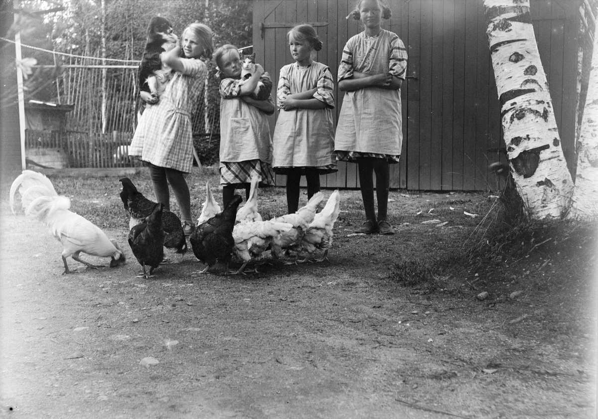 Fyra små flickor, den ena sannolikt Marit Liljefors, med hund och katt tittar på höns ute på gården, sannolikt i Sverige