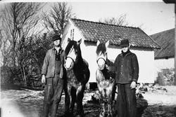 Tvangslevering av hestar til tyskarane under 2. verdskrig. F