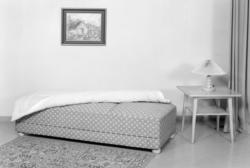 Sovesofa og lampebord.