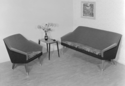 Salong. Sofa og lenestol.