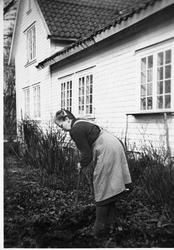 Ingebjørg Gurine Hognestad (22.2.1895 - 24.2.1979) rakar lau