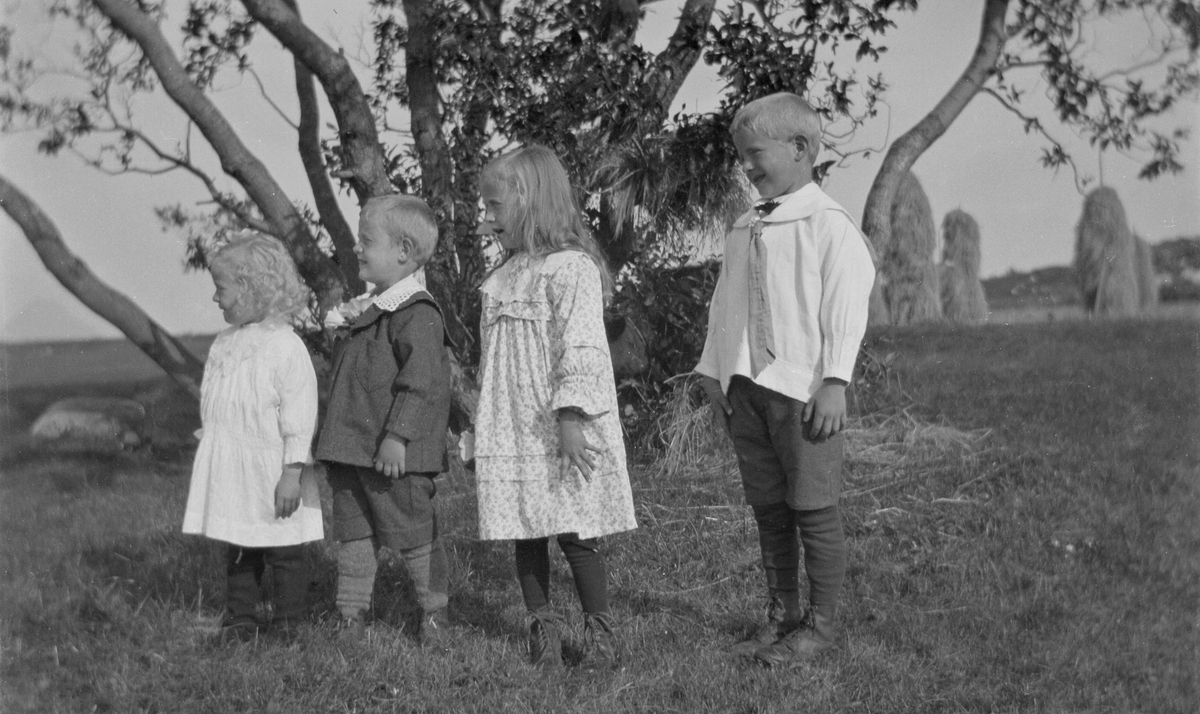 Fire barn foran et tre