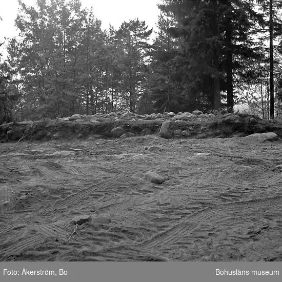 Naverstad socken. Smedberg. Fornlämning 103. Panorama, profilen.
Efter utgrävning. Sedd från öster.