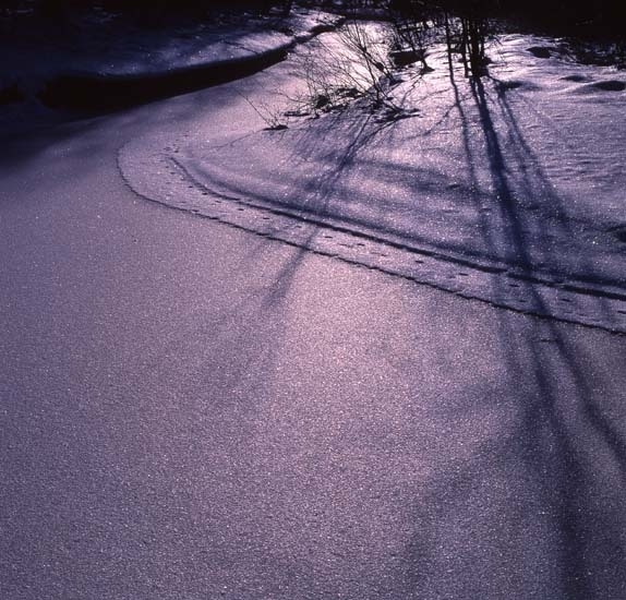 Rimfrostfall vid ån i motljus, 1 mars 1993.