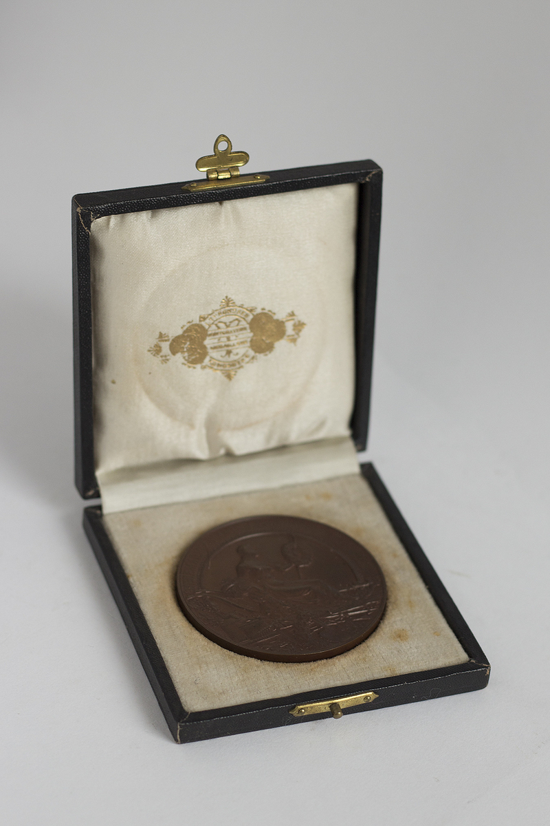 Medalje i bronse med etui.