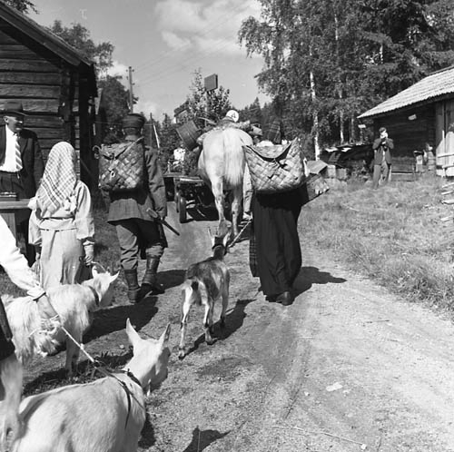 Hembygdsfest med karneval i Rengsjö 22 juli 1962.